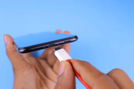 カジノ モバイル ウィンズ モバイルアプリ